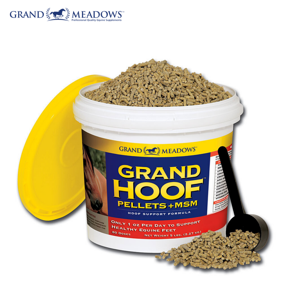 Grand Hoof Pellets + MSM, 10 lbs