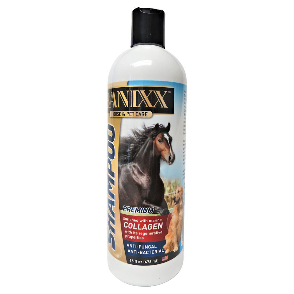 Banixx Shampoo 16oz