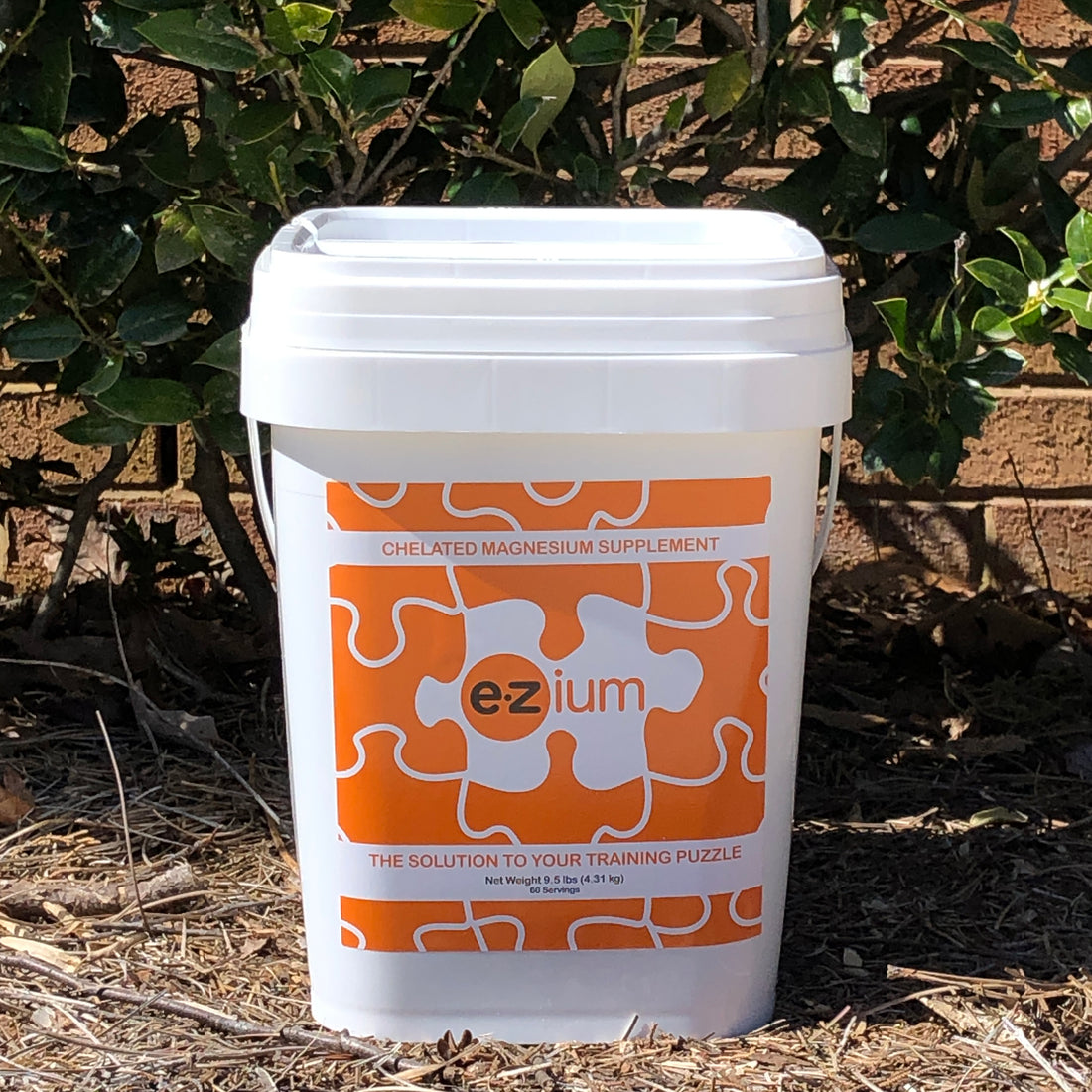 EZium 9.5 lb Pail, 1 Month Supply