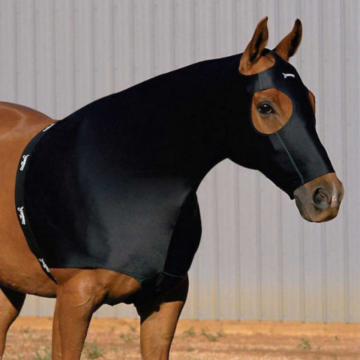 A black horse wearing a Jammies Designer Lycra Hood, standing in front of a metal wall.