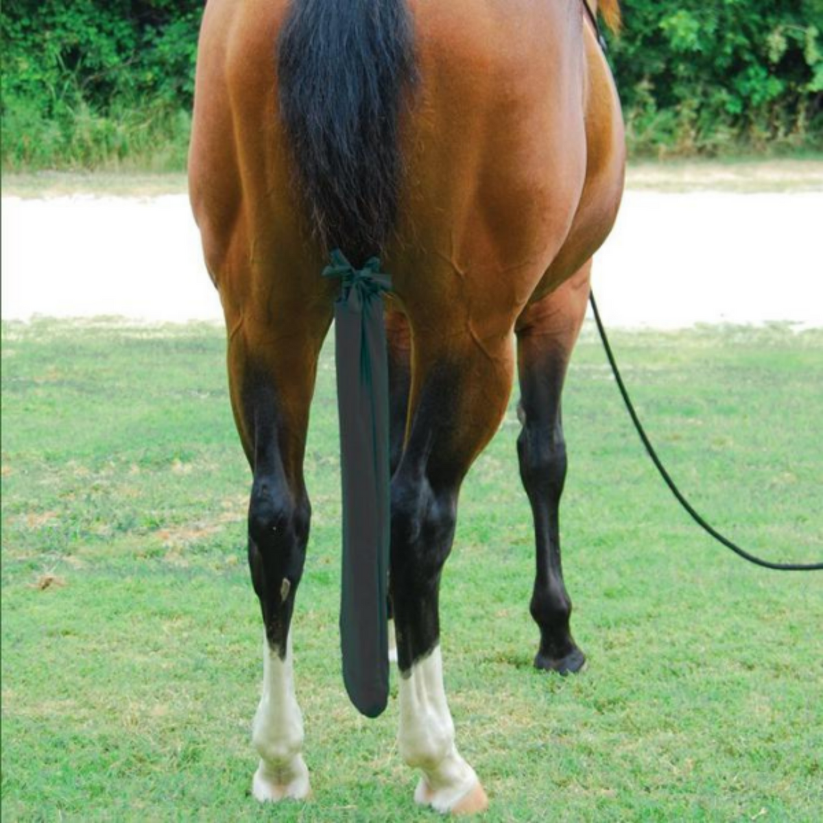 Black lycra tail bag on horses tail.