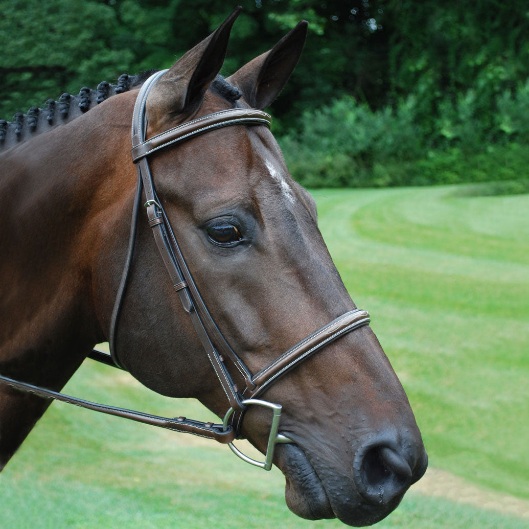 KL Select Venezia Hunter Bridle