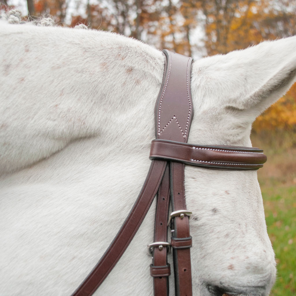 KL Select Wellington Hunter Bridle