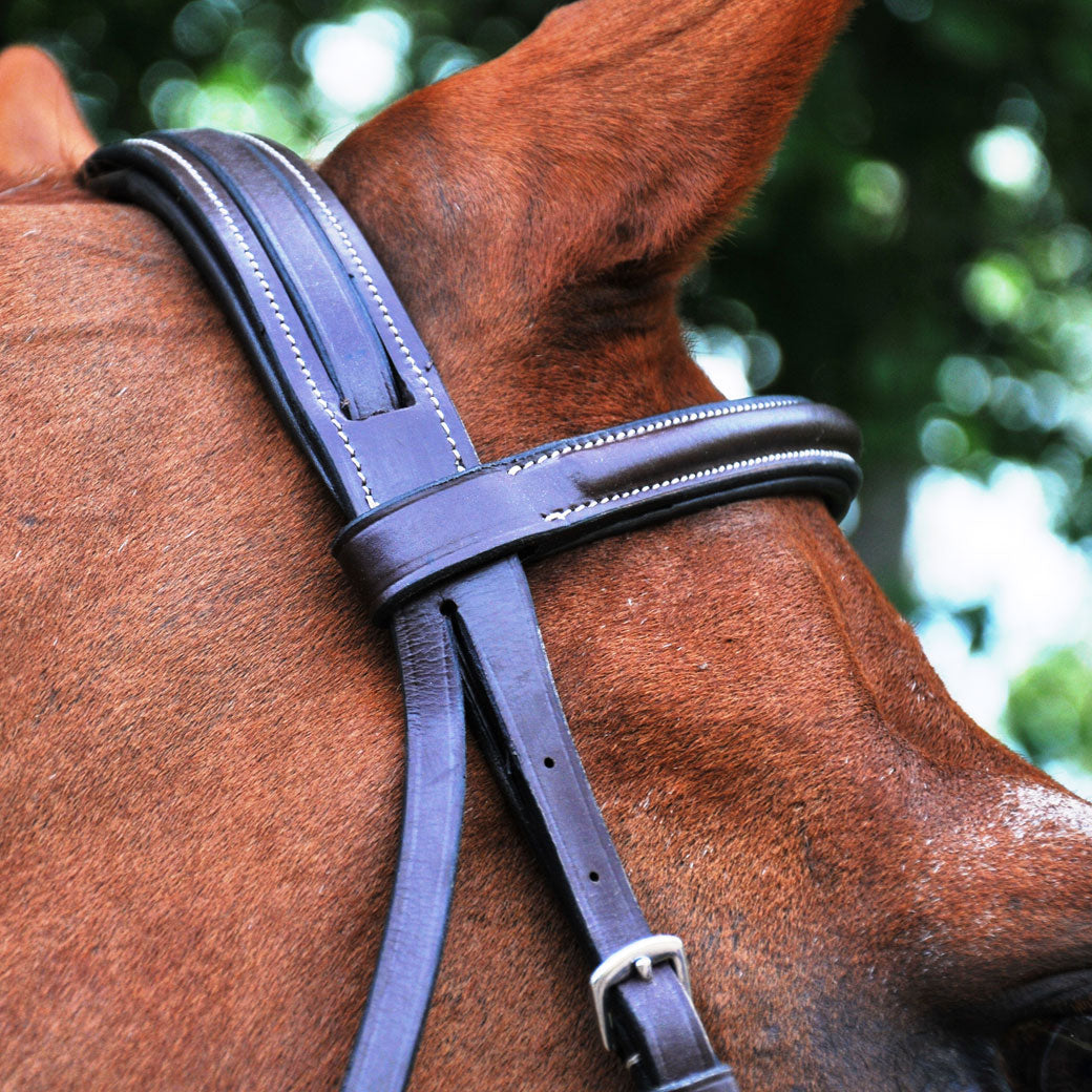 Black Oak Aster Hunter Bridle