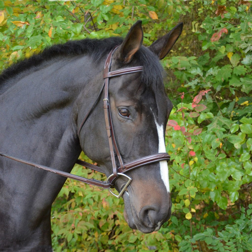 Black Oak Cyprus Hunter Bridle