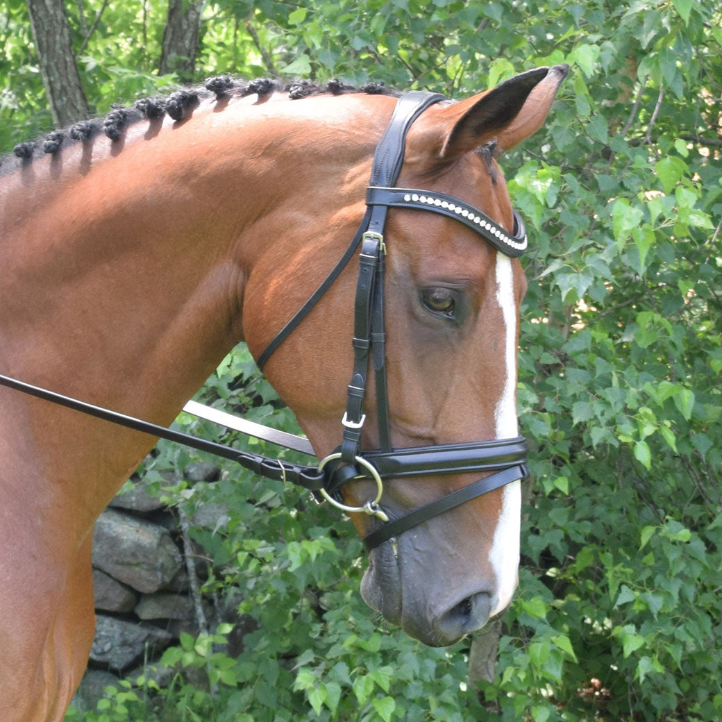 Black Oak Magnolia Dressage Bridle