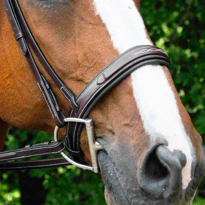 Red Barn Tryon Hunter Bridle