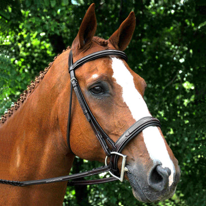 Red Barn Tryon Hunter Bridle