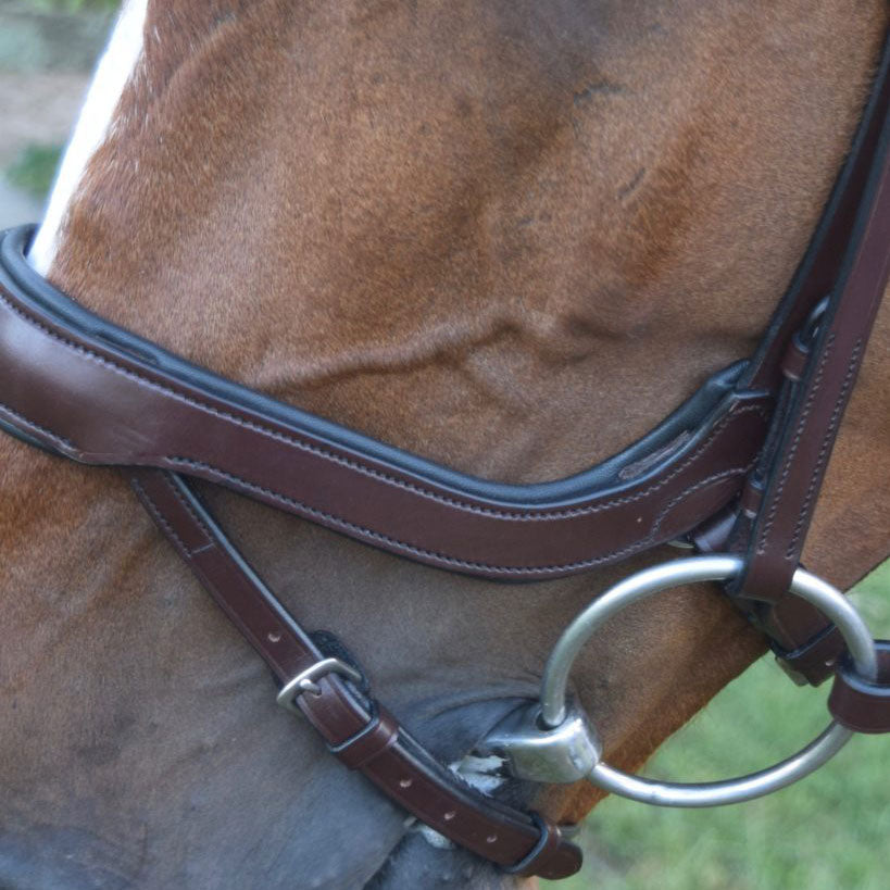 Red Barn Arena Ergonomic Bridle with Flash