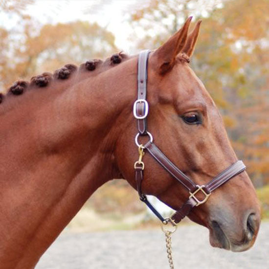 Red Barn Lainie Halter