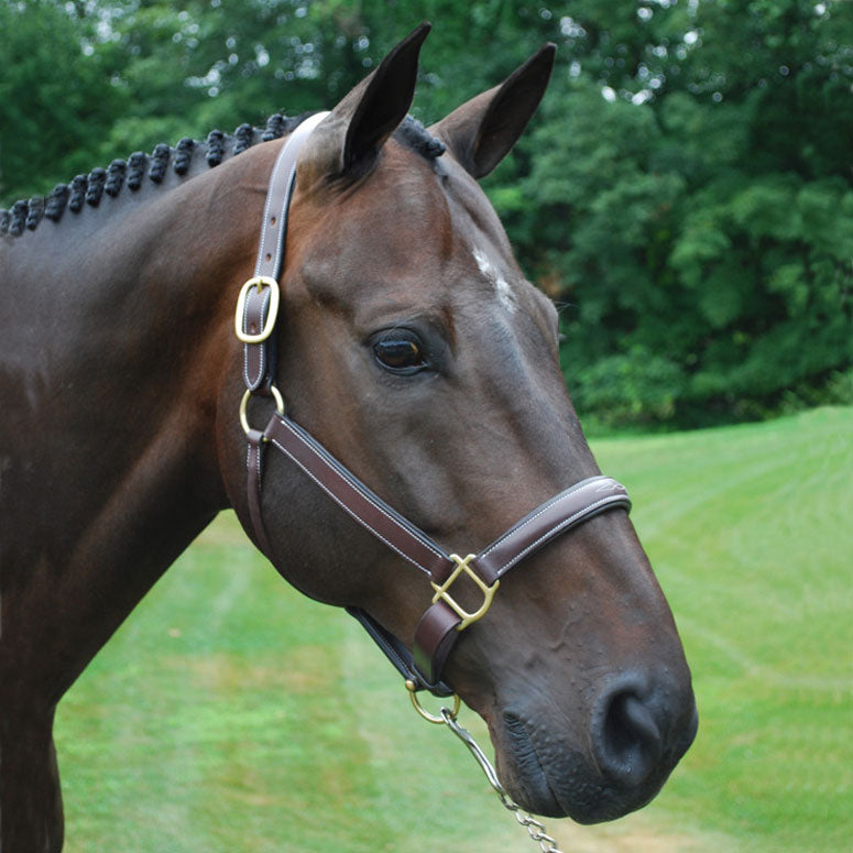 Red Barn Kate Halter