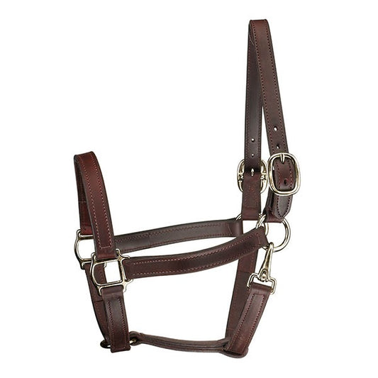 Perri's Track Halter with Throat Snap