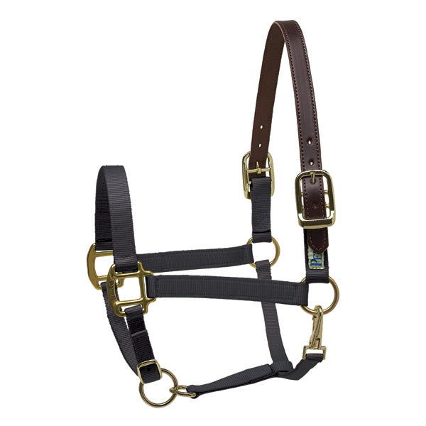 Perri's Premium Nylon Breakaway Halter – M & M Tack Shop