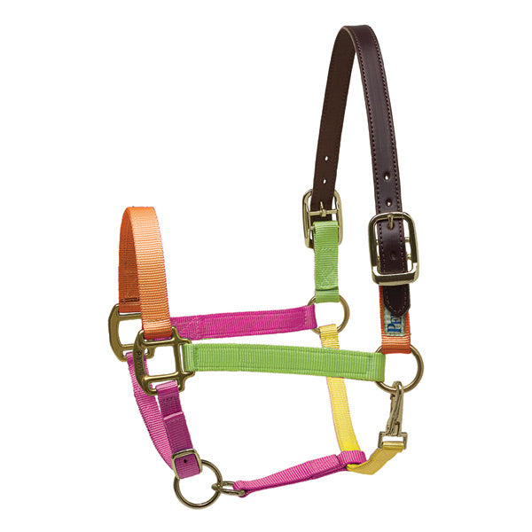 Perri's Premium Nylon Breakaway Halter, Mini Horse