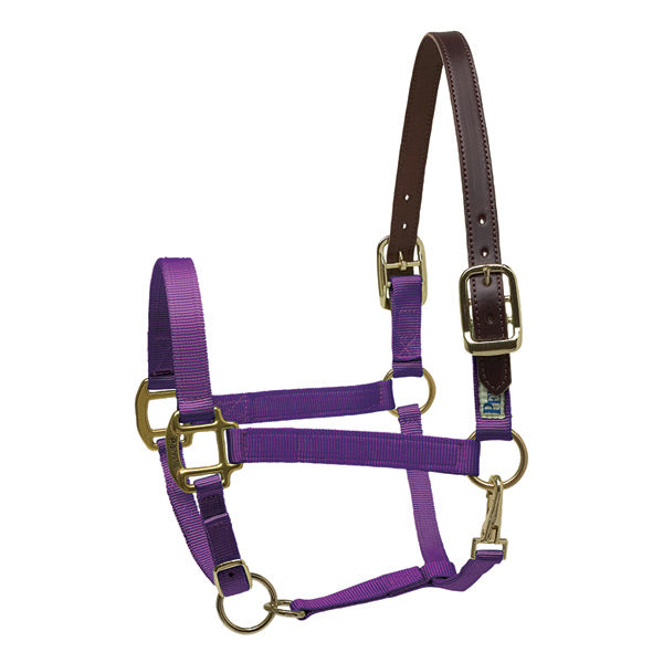 Perri's Premium Nylon Breakaway Halter, Mini Horse