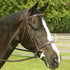 A horse wearing a Red Barn Sovereign Bridle, which includes a padded noseband, browband, cheek pieces, and headstall, with stainless steel hardware.