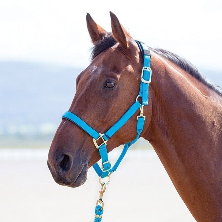 Topaz Breakaway Halter