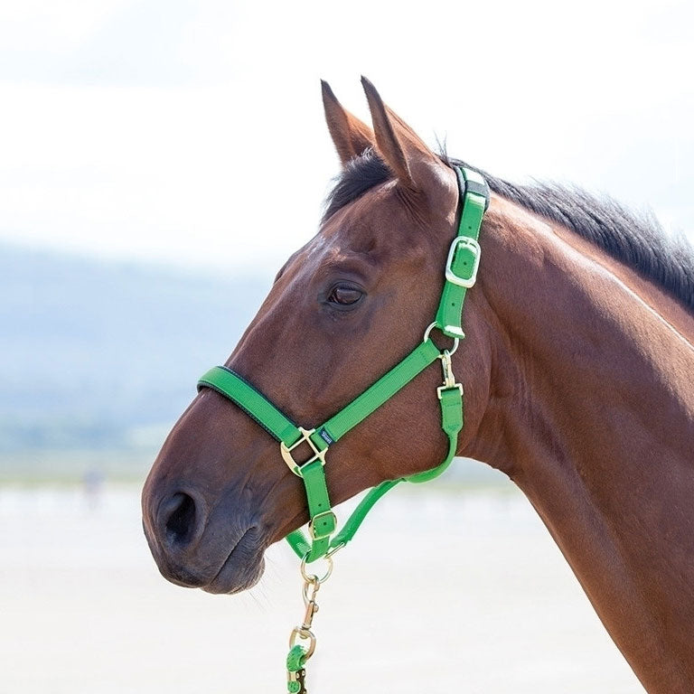 Topaz Breakaway Halter