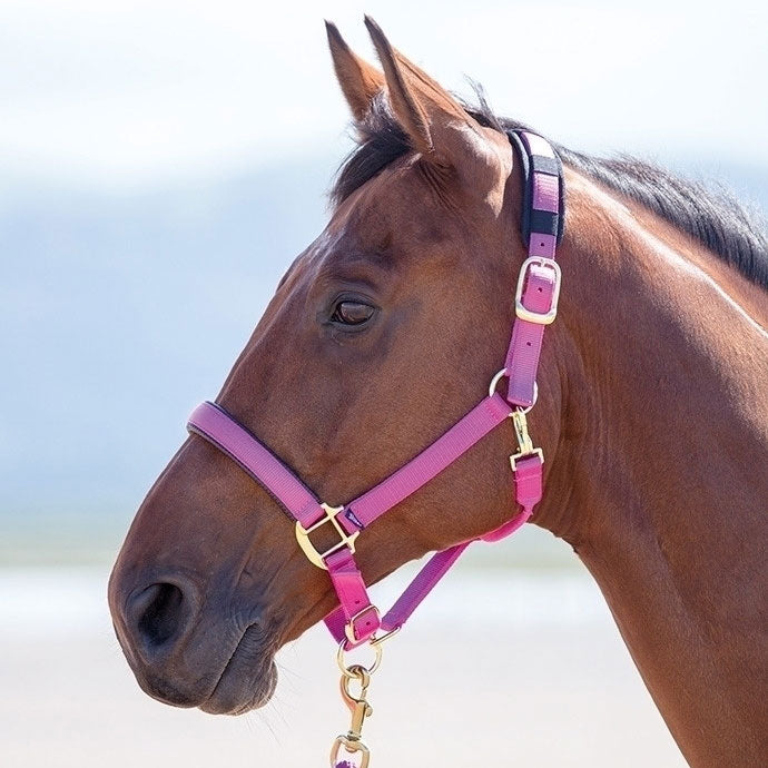 Topaz Breakaway Halter