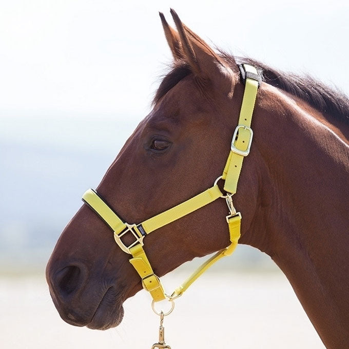 Topaz Breakaway Halter