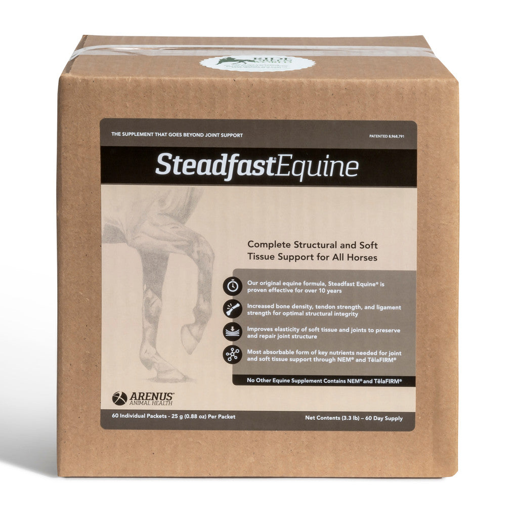 Arenus Steadfast Equine, 60 pack - 25gm packets in RFGW Packaging