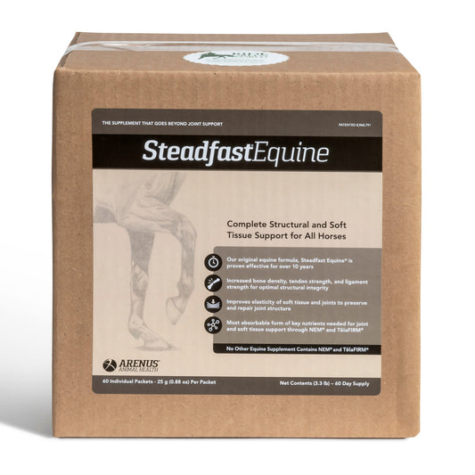 Arenus Steadfast Equine, 60 pack - 25gm packets in RFGW Packaging