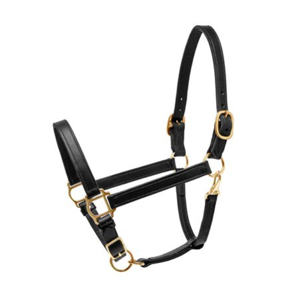 Tory Leather Halter Yearling/Pony