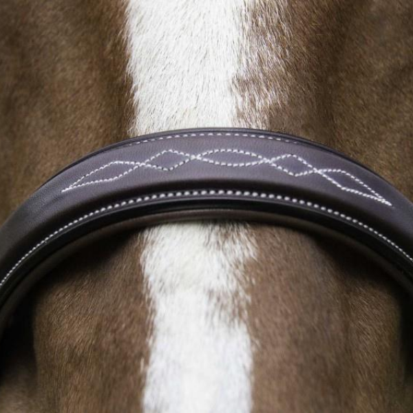 Vespucci Veritas Fancy Raised Hunter Bridle with Reins