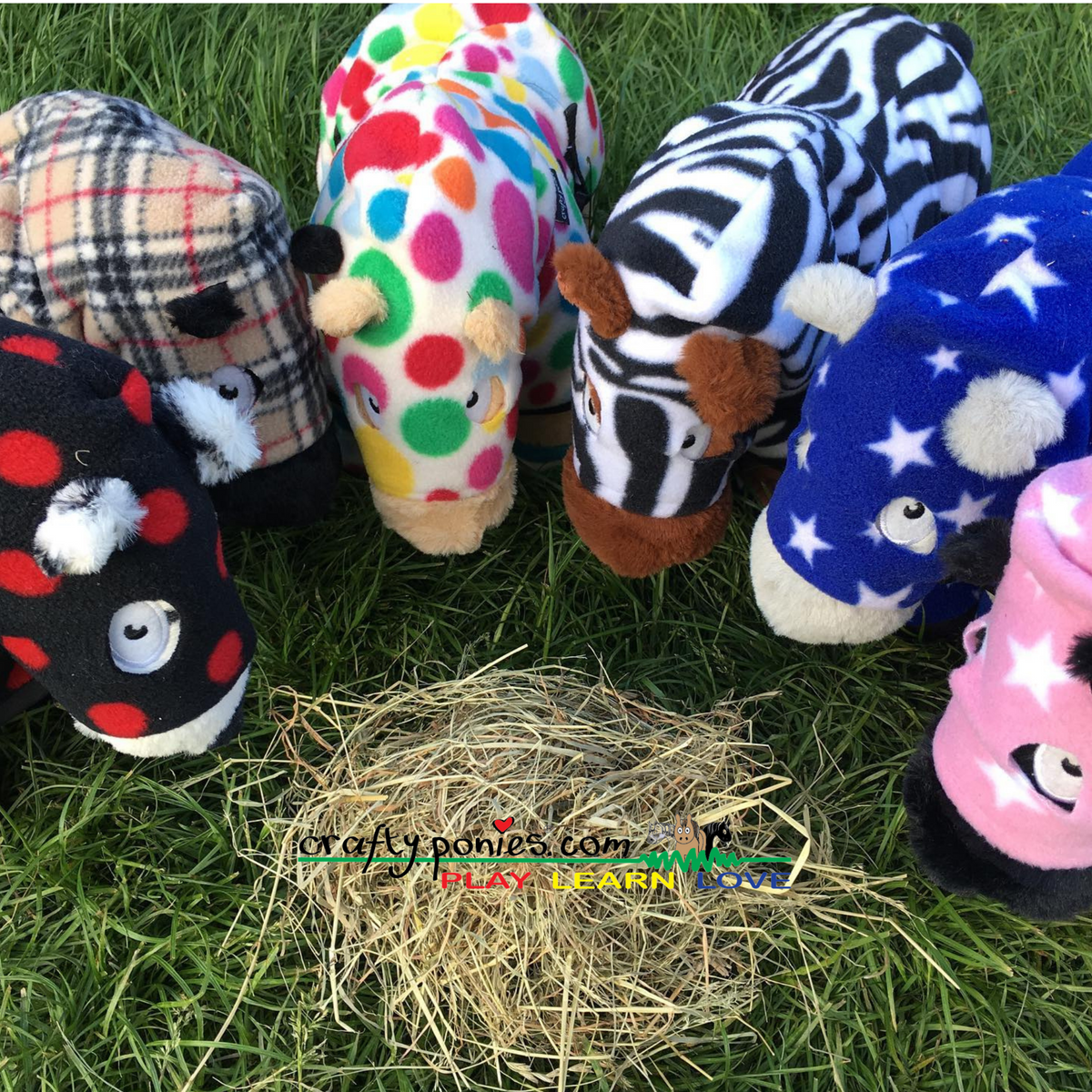 Crafty Ponies Snuggle Rug Set &amp; Booklet