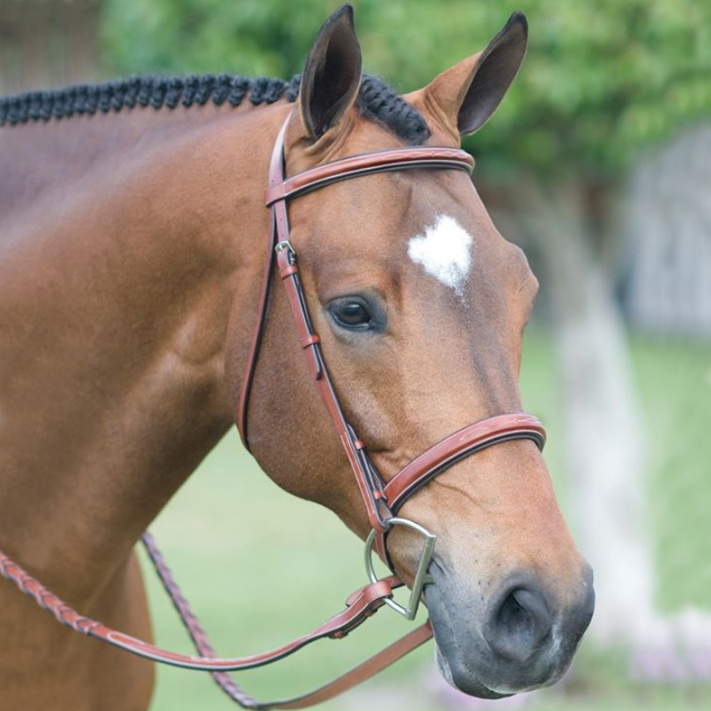 Rodrigo Pessoa® Fancy Raised Padded Bridle