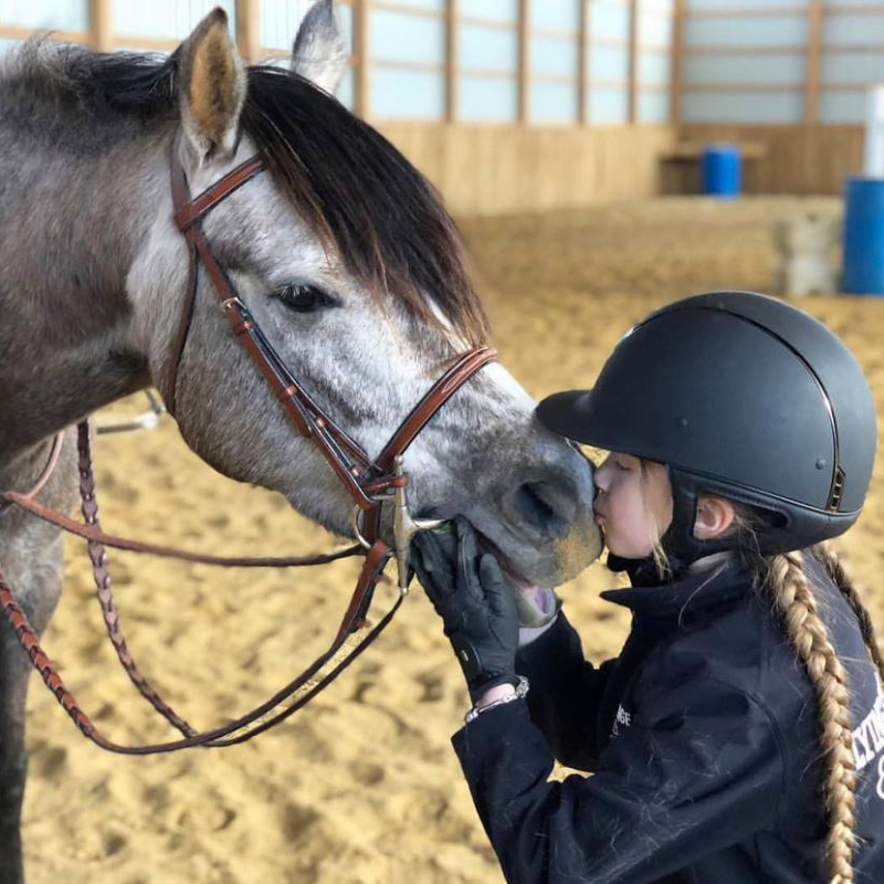 Rodrigo Pessoa® Fancy Raised Padded Bridle