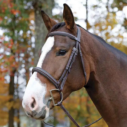 Avignon Ocala Monocrown Fancy Stitched Bridle