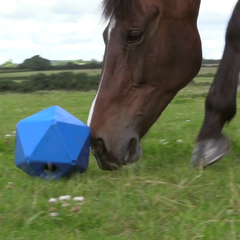 Shires Ball Feeder