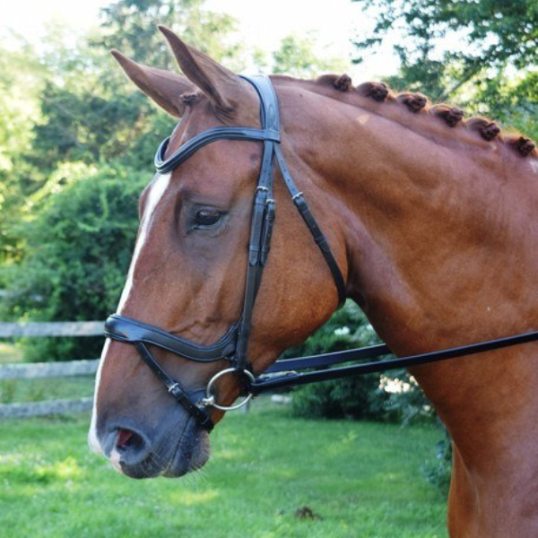 Red Barn Arena Ergonomic Bridle with Flash