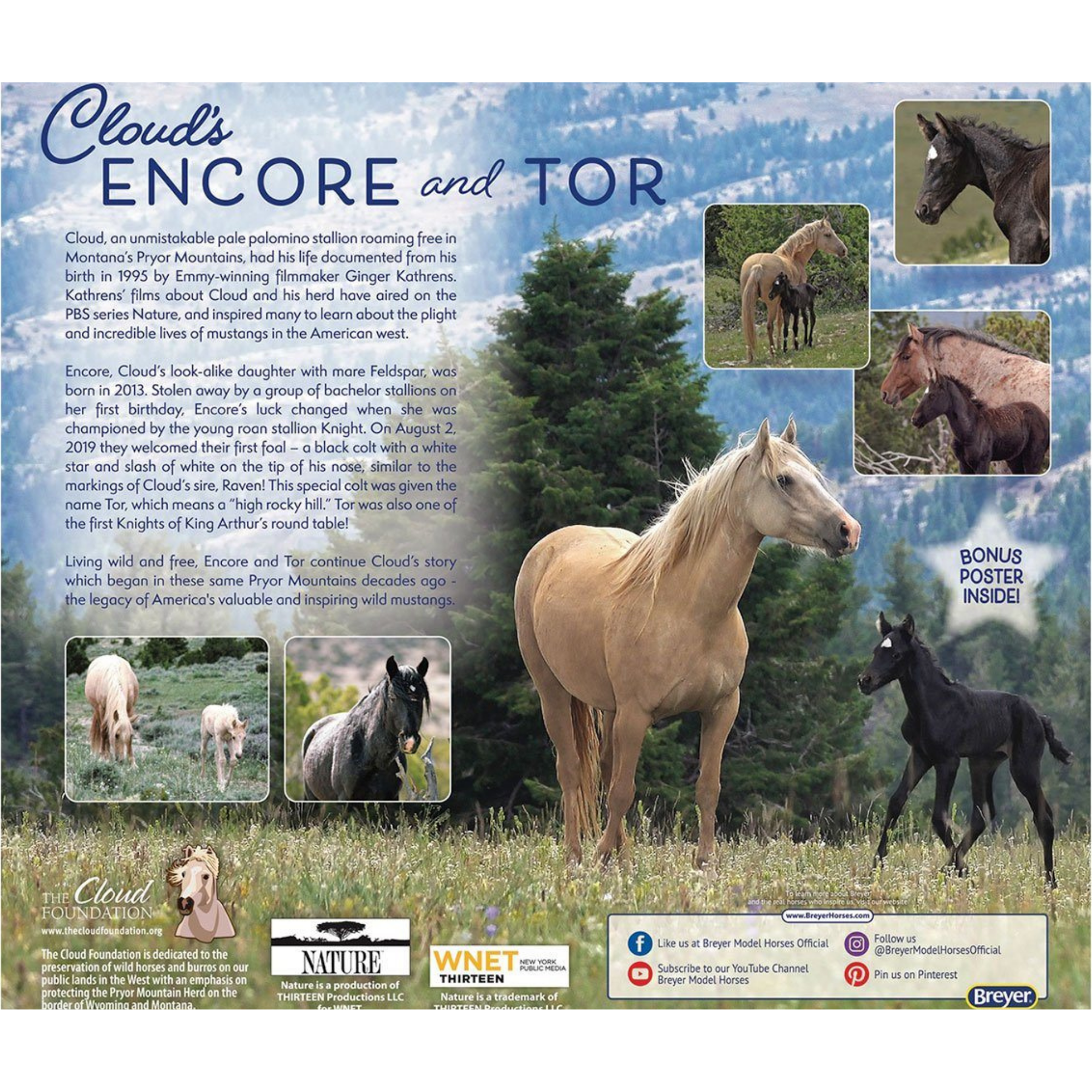 Breyer Encore & Tor Gift Set