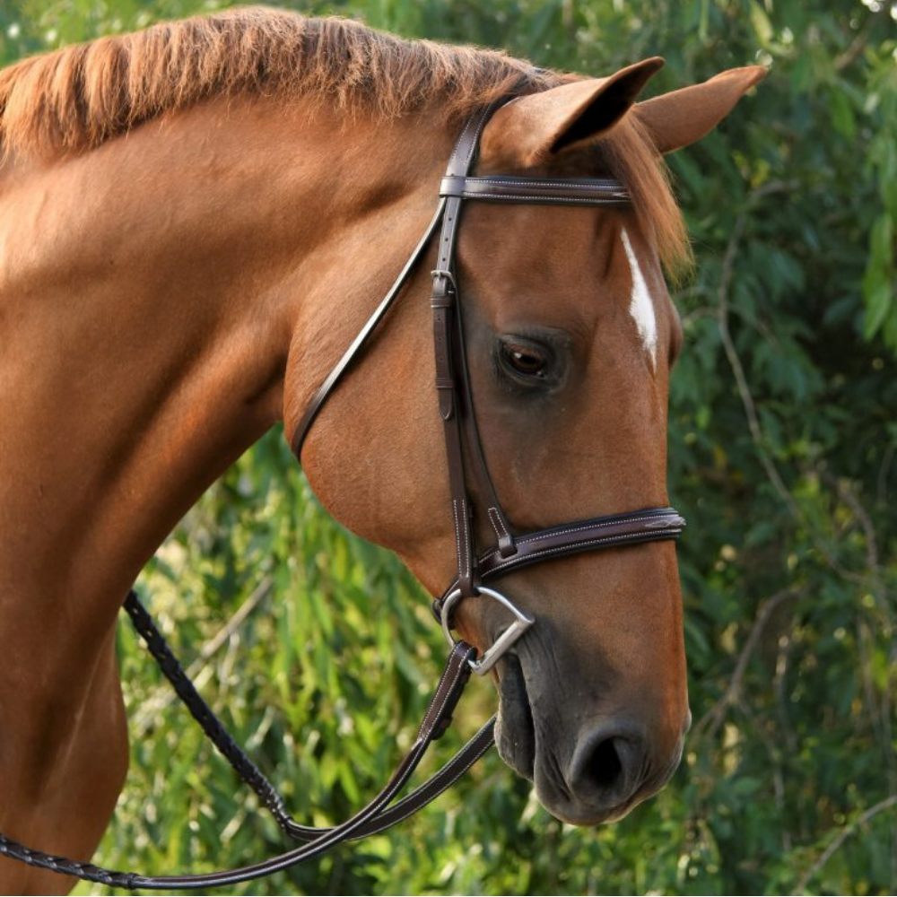 Red Barn Icon Bridle