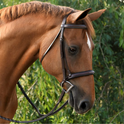 Red Barn Icon Bridle