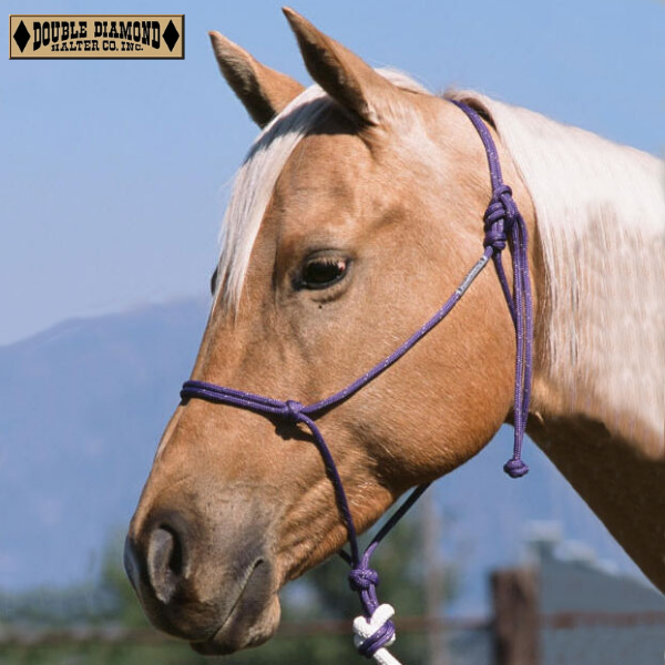 Double Diamond Buck Brannaman Series Halter