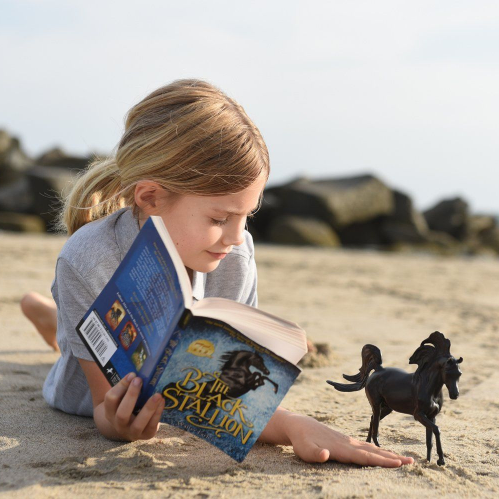 Breyer Classics Black Stallion Horse &amp; Book Set