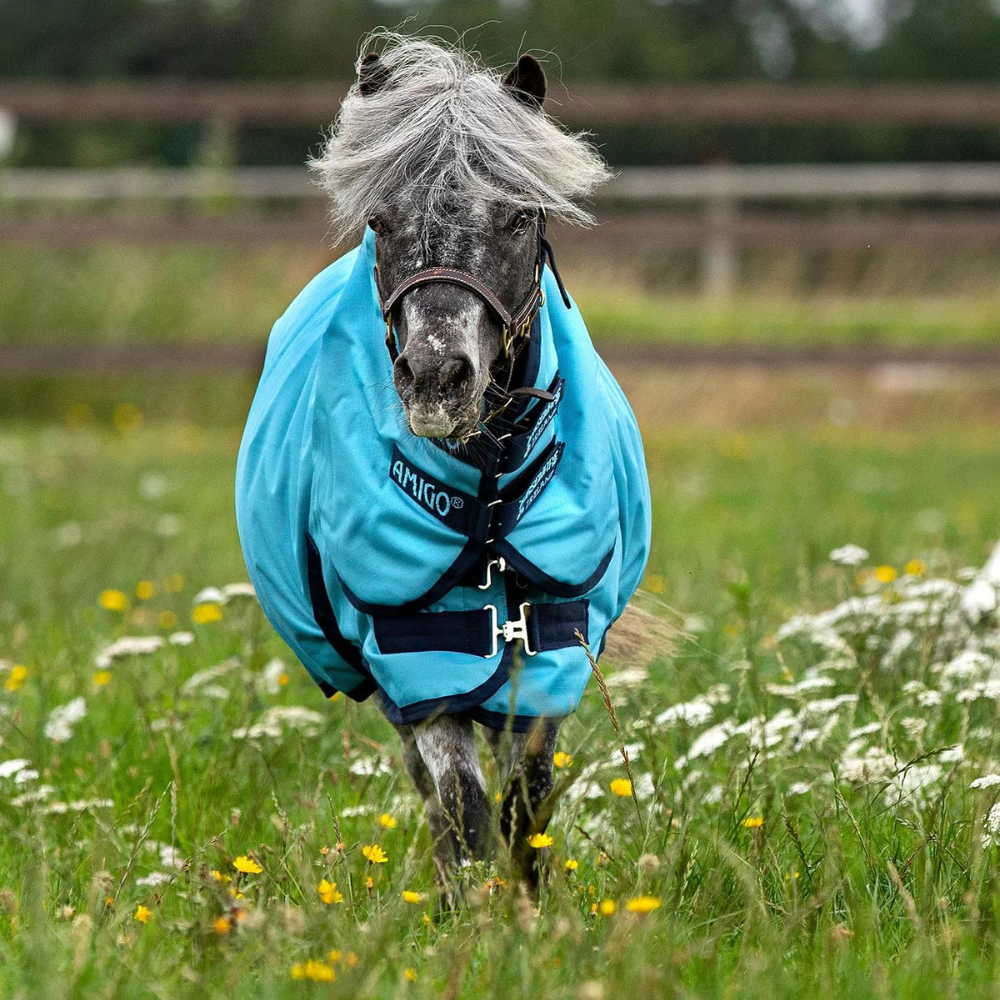 Amigo Hero Petite Plus Turnout Sheet Mini Horse Rain, 57 OFF