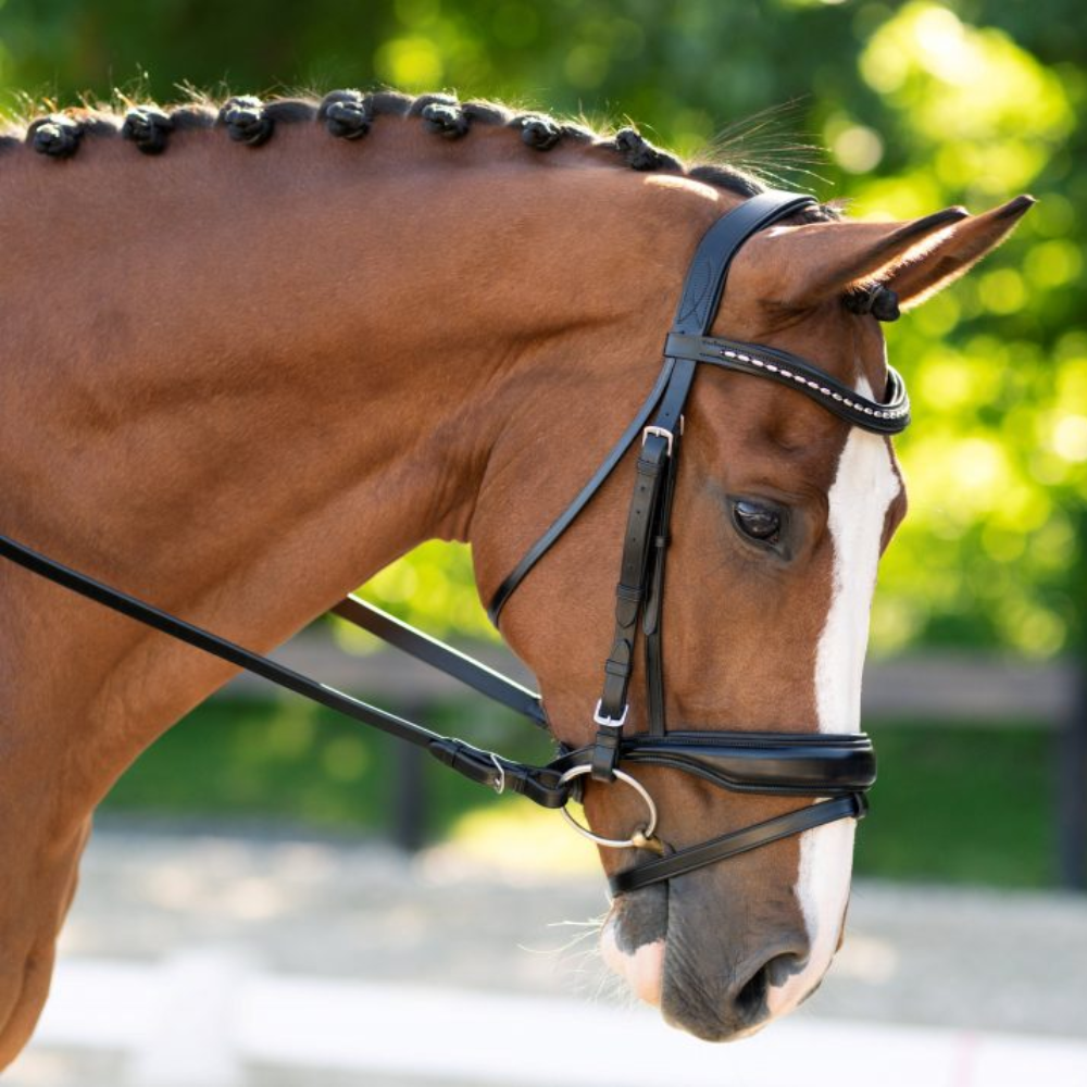 Red Barn Topline Bridle w/ Flash & Crank