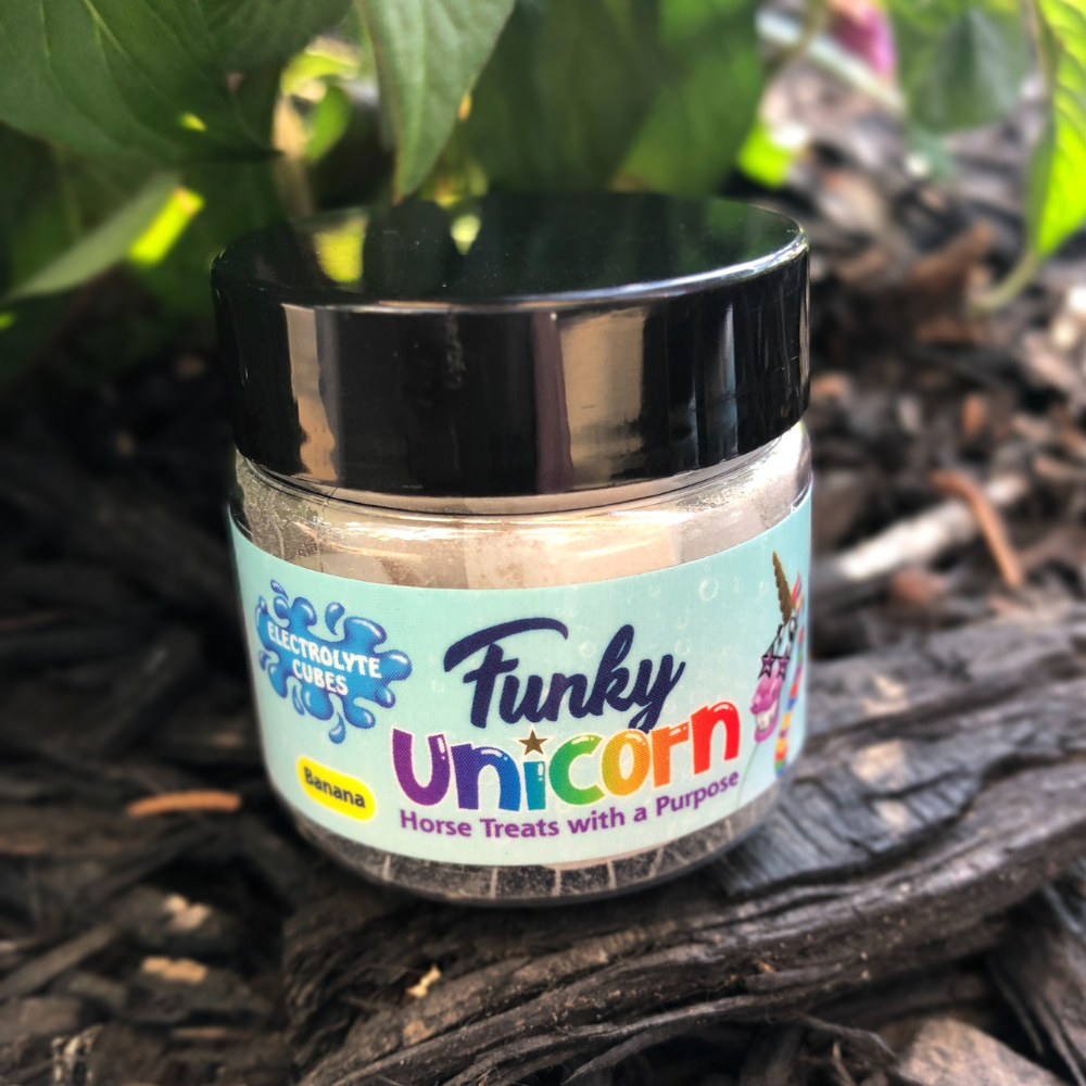 Trial Size Funky Unicorn Electrolyte Cubes, 1 oz