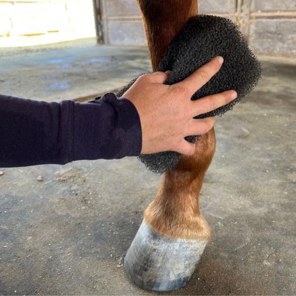 Epona Tiger's Tongue Sponge