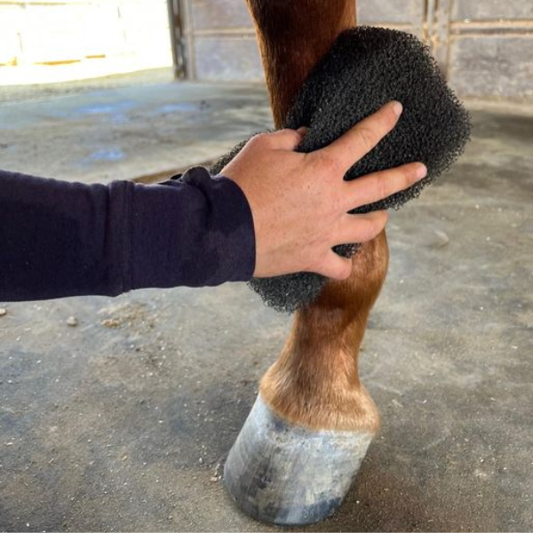 Epona Tiger&