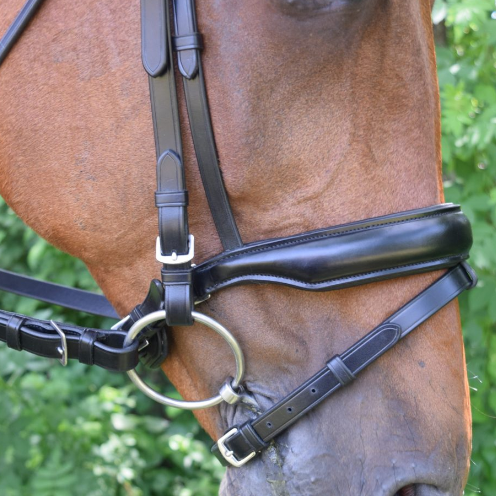 Red Barn Topline Bridle w/ Flash & Crank