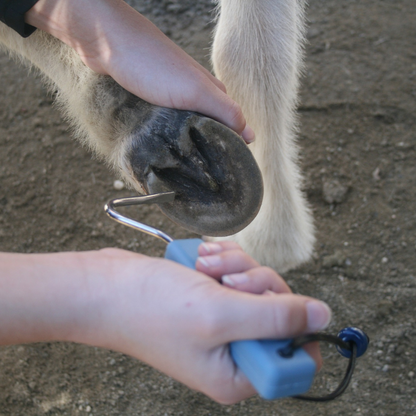 Epona Winning Hoof Pick