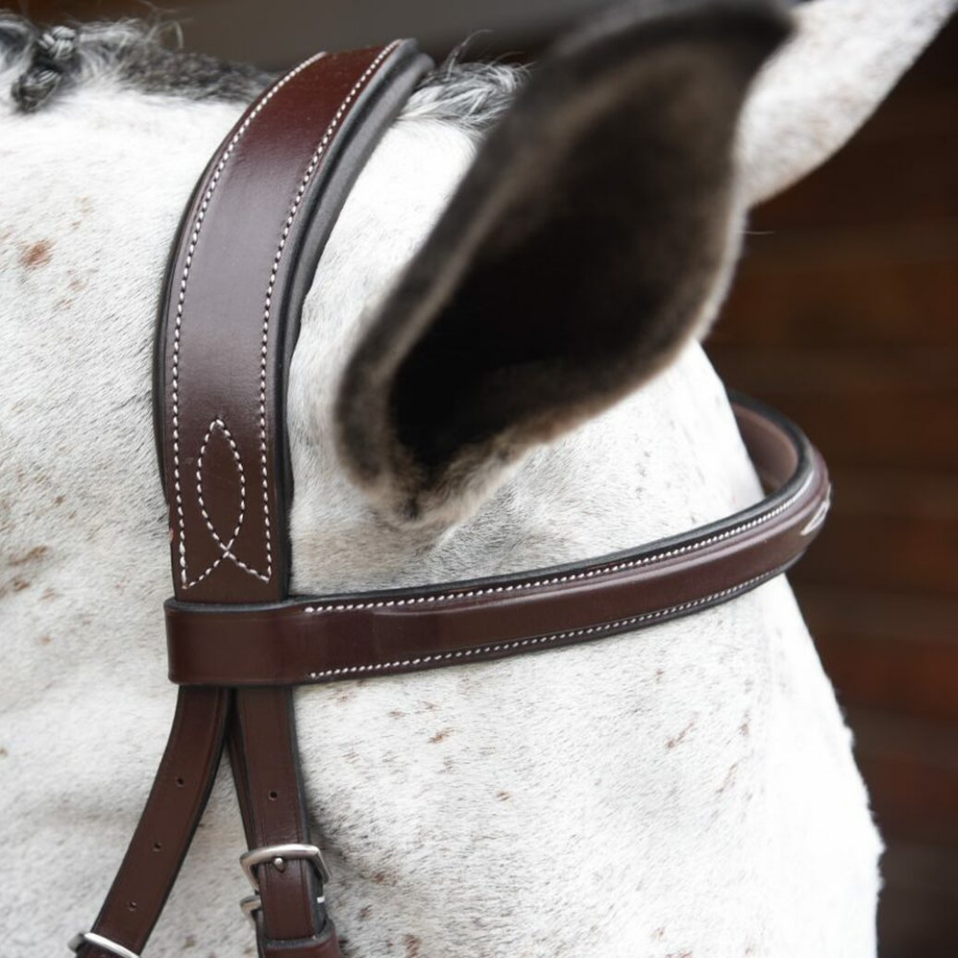 Red Barn Indio Unpadded Bridle