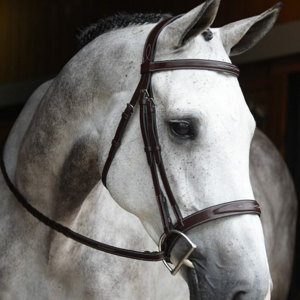 Red Barn Indio Unpadded Bridle