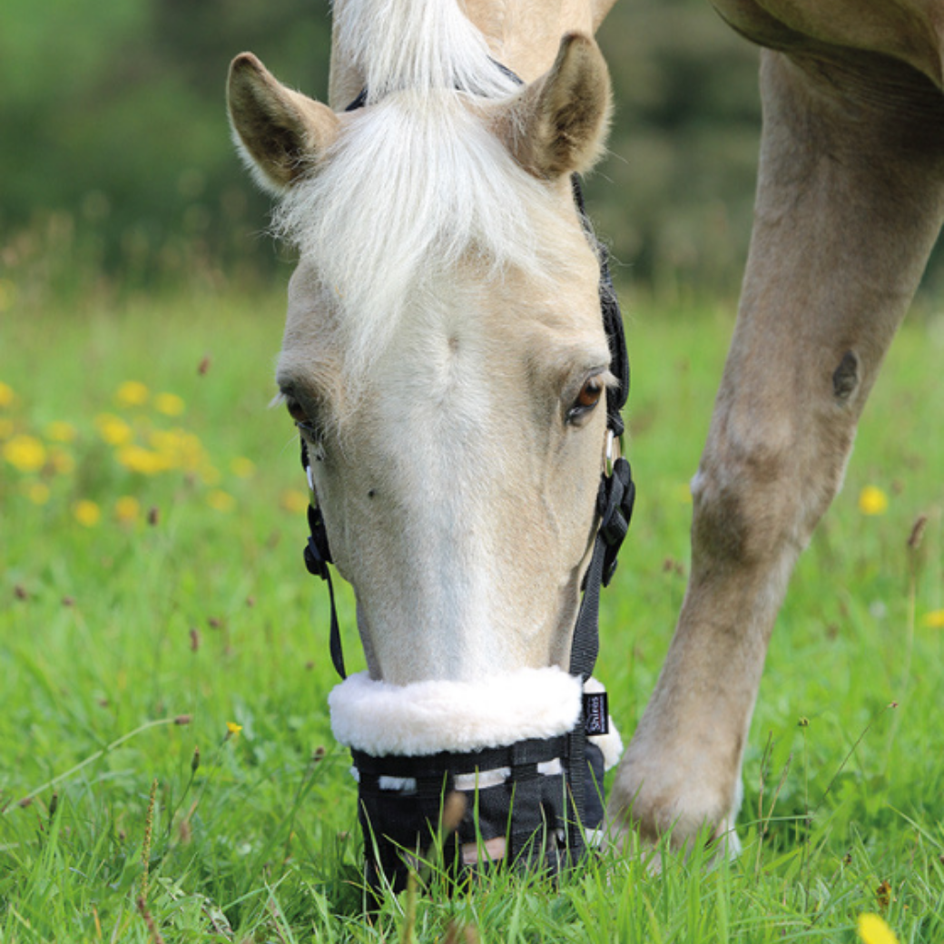 Deluxe Comfort Grazing Muzzle