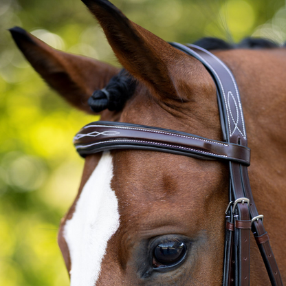 KL Select Hampton Hunter Bridle